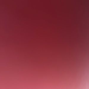 Meet your Posher, Leonardo